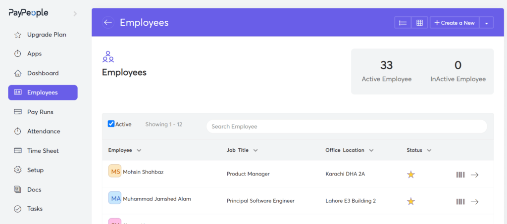 Productivity of business with HR Software in Pakistan